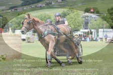 ref. photo 3237389