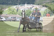 ref. photo 3237392