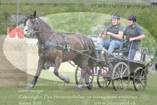 ref. photo 3237397
