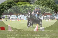 ref. photo 3237408