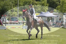 ref. photo 3237416