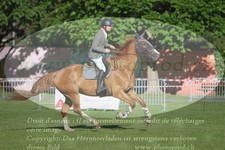 ref. photo 3237435