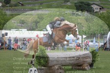 ref. photo 3237446