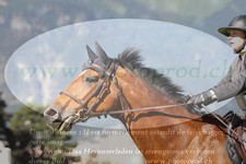 ref. photo 3237510