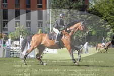 ref. photo 3237512