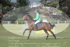 ref. photo 3237518