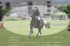 ref. photo 3237536