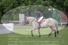 ref. photo 3237549