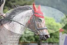 ref. photo 3237551