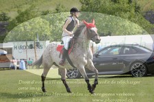 ref. photo 3237554