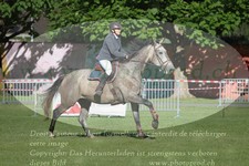 ref. photo 3237559