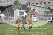 ref. photo 3237572