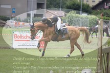 ref. photo 3237586