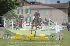 ref. photo 3237600