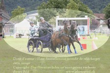 ref. photo 3237611