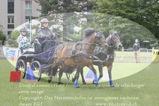 ref. photo 3237621
