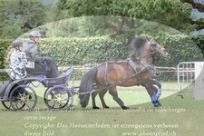 ref. photo 3237622