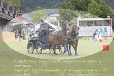 ref. photo 3237626