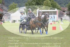 ref. photo 3237627
