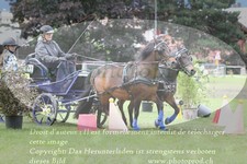 ref. photo 3237630