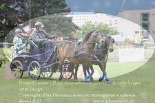 ref. photo 3237631