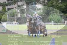 ref. photo 3237636
