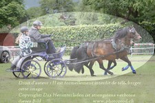 ref. photo 3237639