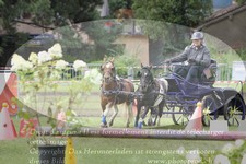 ref. photo 3237643