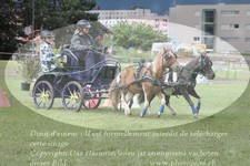 ref. photo 3237645