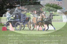ref. photo 3237662