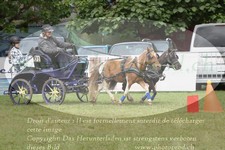 ref. photo 3237669