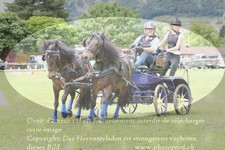 ref. photo 3237681