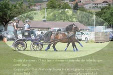 ref. photo 3237683