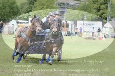 ref. photo 3237689