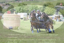 ref. photo 3237691