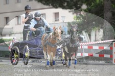 ref. photo 3237696