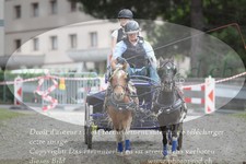 ref. photo 3237697