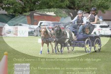ref. photo 3237712
