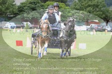 ref. photo 3237716