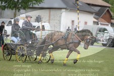 ref. photo 3237718