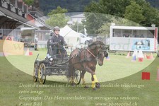 ref. photo 3237719