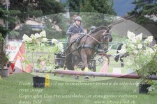 ref. photo 3237722