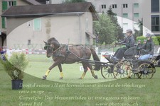 ref. photo 3237724