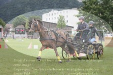 ref. photo 3237726