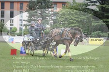 ref. photo 3237728