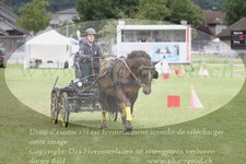 ref. photo 3237732