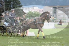 ref. photo 3237734