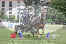 ref. photo 3237737