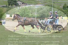 ref. photo 3237749