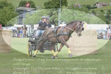 ref. photo 3237751